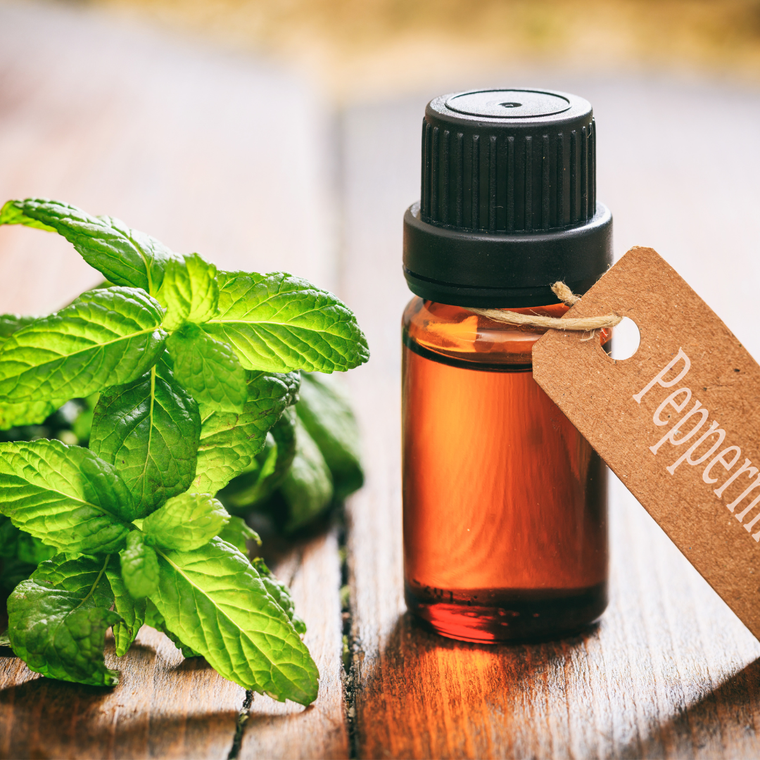 Peppermint